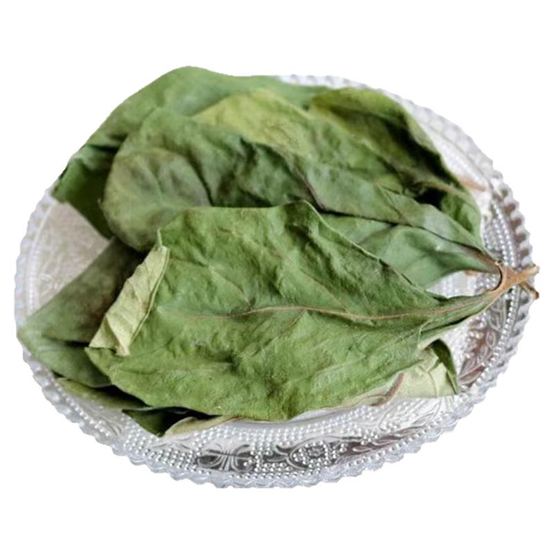 柿子叶干中药材的野生霜后茶霜打过柿树叶正品柿叶新鲜柿子树叶子