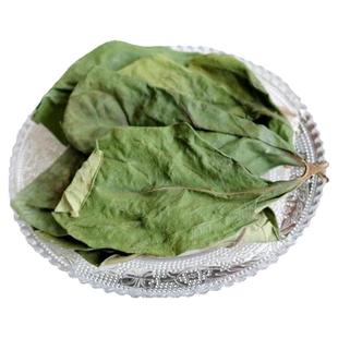 柿子叶干中药材的野生霜后茶霜打过柿树叶正品柿叶新鲜柿子树叶子