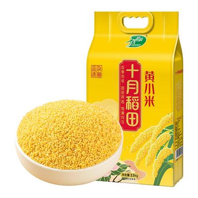 十月稻田黄小米1kg米香浓郁
