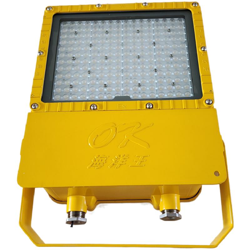 海洋王BFC8119防爆泛光灯200W