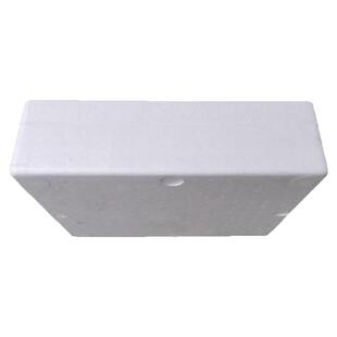 草莓矮扁平泡沫箱球盖菇菌箱礼盒箱海鲜保温箱泡沫包装快递包装盒