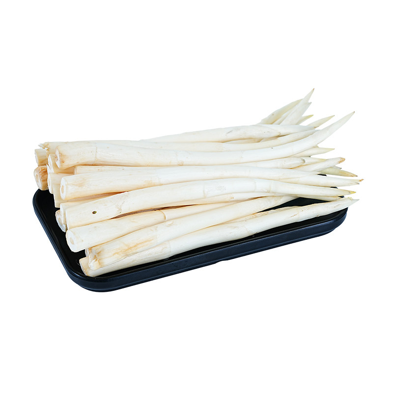 【现货】新鲜草芽500g 云南建水特产新鲜草芽象牙菜当季蔬菜包邮