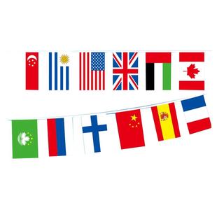 各国国旗小旗子世界国家国旗万国旗彩旗串旗世界杯串旗酒吧吊顶吊旗旗帜室内挂旗拉旗幼儿园装饰氛围布置