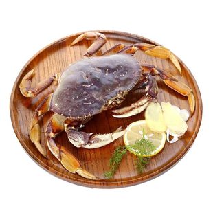 珍宝蟹面包蟹鲜活冰鲜珍宝蟹超大珍宝蟹4斤水产海鲜鲜活速冻包邮