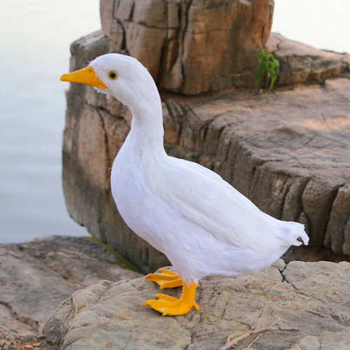 新品仿真羽毛鸭子超市货架家禽认知模型绿翅鸭白黑鸭麻鸭动物摆件