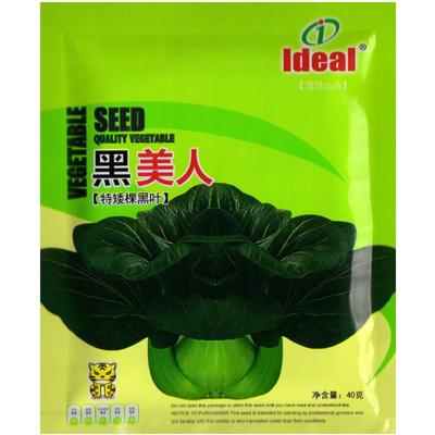 黑美人苏州青抗热耐寒鲜嫩可口