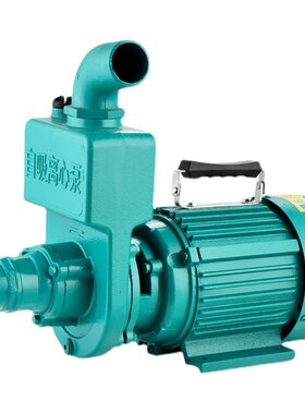 浪扬浙江污水清水大流量自吸泵