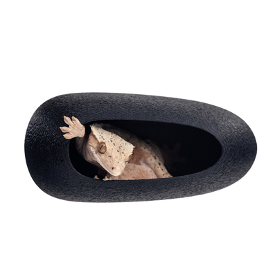 爬宠躲避屋磁吸辅助蜕皮睫角守宫老爷树蛙爬架树栖造景悬浮吸盘