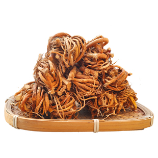 正宗野生五指毛桃根中药材土茯苓广西广东煲汤材料新鲜干货五爪龙