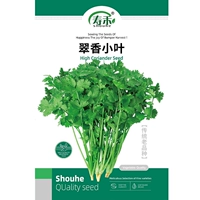 Пышные семена седана 30 грамм/сумка старое разнообразие