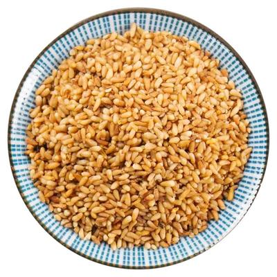 柏子仁中药材炒柏籽仁泡水睡眠茶