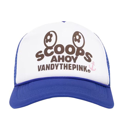 鸭舌帽VANDYTHEPINK棒球帽