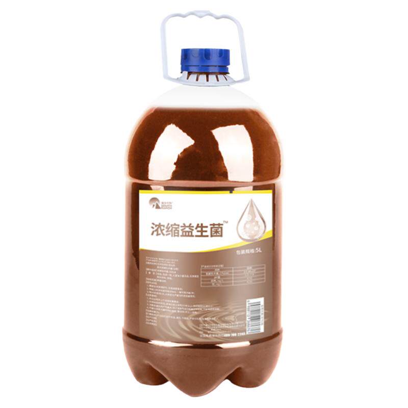 浓缩益生菌em原种水产养殖