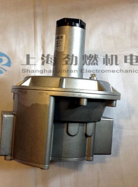 RG032-FT-1B意大利GECA RG040-FT-1B,RGD32-FT-1B,RGD40-FT-1B