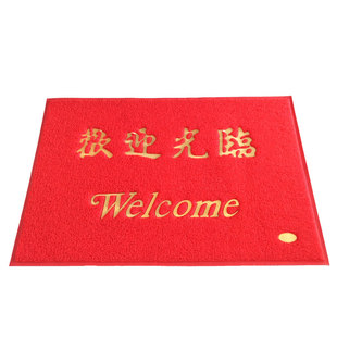 新款蓝色门口地垫入户门垫进门除尘防滑脚垫家用出入平安室外地垫