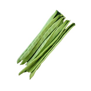荷兰三扁芸豆种子二扁青架豆窄长油豆角种籽早熟春秋四季蔬菜种孑