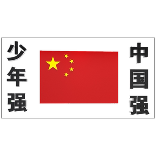 武馆拳击搏击武术馆背景墙面跆拳道馆文化墙贴装饰画布置标语国旗