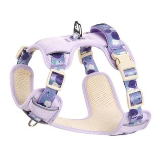 狗狗的牵引绳宠物背心式胸背带大中小型犬比熊泰迪柯基柴犬遛狗绳