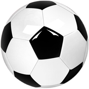 正品足球女儿童小学生专用球4号幼儿园3号小孩少儿比赛训练5号球