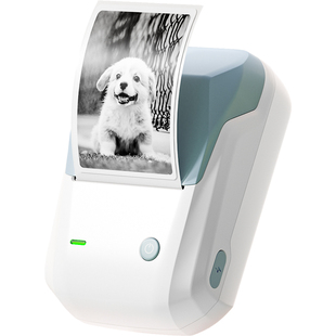 精臣B1Pro小型照片打印机可连手机黑白漫画图片相片纸小卡手帐贴纸迷你便携式蓝牙口袋高清不干胶家用标签机