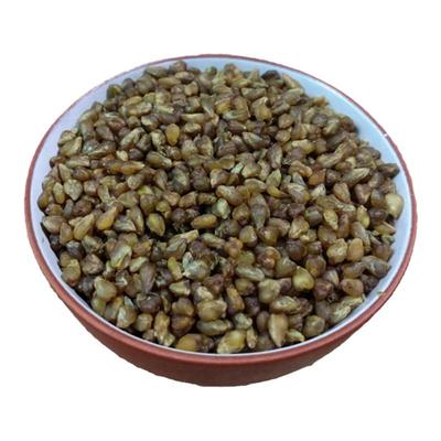 苦荞米500g*5袋真空装新米