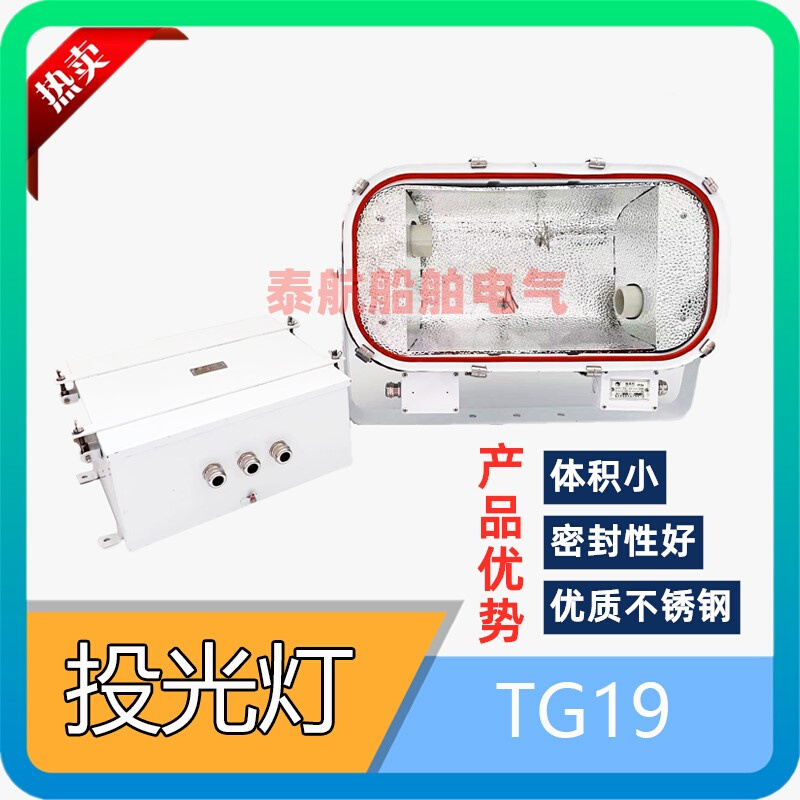 791824船用不锈钢防水投光灯TG19高压钠灯金卤化物灯2×250/400W