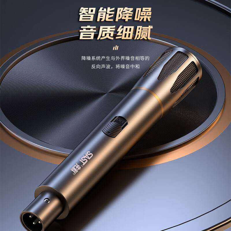 先科（SAST）有线话筒演讲会议演唱动KTV专用卡拉圈麦麦克风家庭