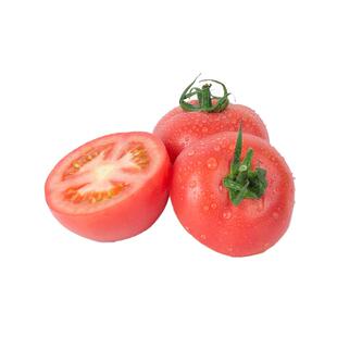 老品种西红柿种子水果番茄种子粉沙瓤大西红柿种籽四季种植蔬菜籽