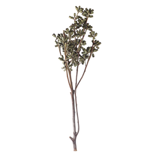 天然僵尸果花束铜铃果桉树果小众软装家居插花高级感花束装饰