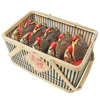 活体青蟹鲜活爆膏红鲟福建青蟹