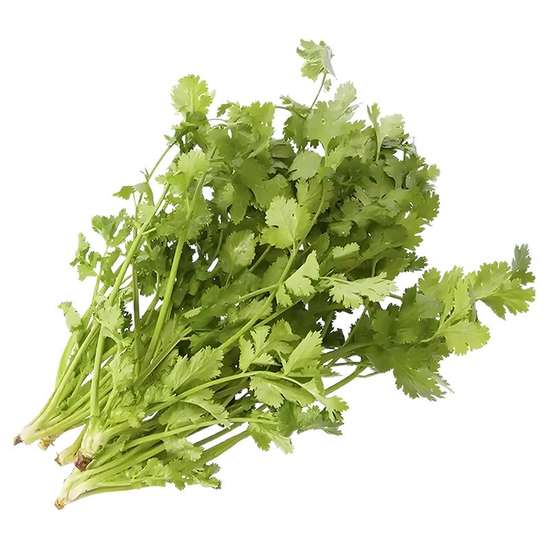 香菜种子四季美味大叶香菜籽