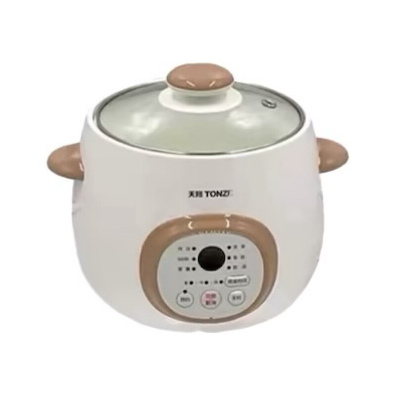 天际燕窝盅隔水炖全自动煲汤煮粥
