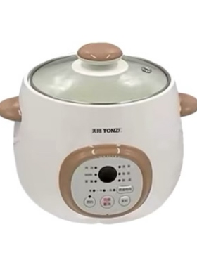 天际燕窝盅隔水炖全自动煲汤煮粥