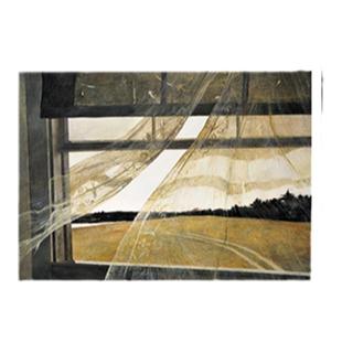 安德鲁怀斯写实人物风景装饰画客厅书房民宿酒店小众复古组合挂画