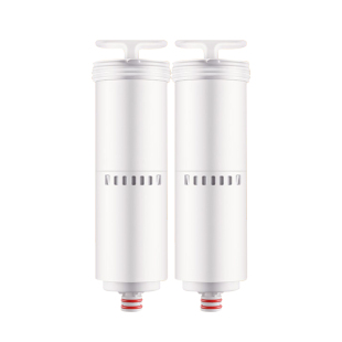 BWT净水器滤芯悦享系列台式净饮机净热一体机即热饮水机UF/CF滤芯