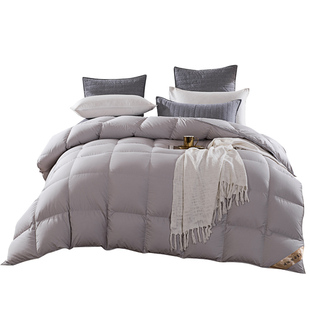 【清仓】鸿润家纺柔赛丝95%白鹅绒被子冬季轻音加厚保暖羽绒被芯