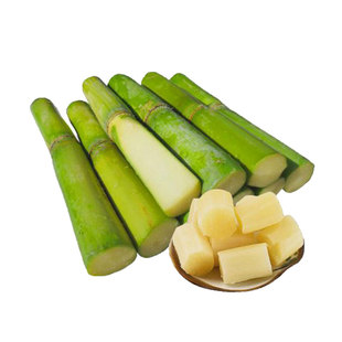 北方甘蔗种子种籽青皮小甘蔗甜杆高粱种植南方水果四季高产甜杆孑