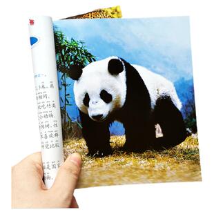 动物百科全书幼儿大百科 宝宝早教认知动物大全大图婴儿认识动物图片图小学生儿童动物世界猫科爬行动物书籍3-6岁益智动物图书绘本