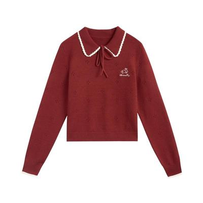 紫涵撞色花边翻领修身针织衫毛衣女冬季新款绣花内搭休闲短款上衣