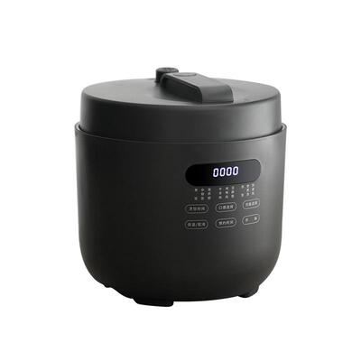 olayks立时5L电压力锅