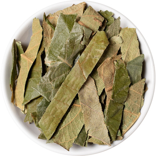 野生枇杷叶中药材500克/250/100g枇杷叶干货新货去毛生枇杷叶泡茶