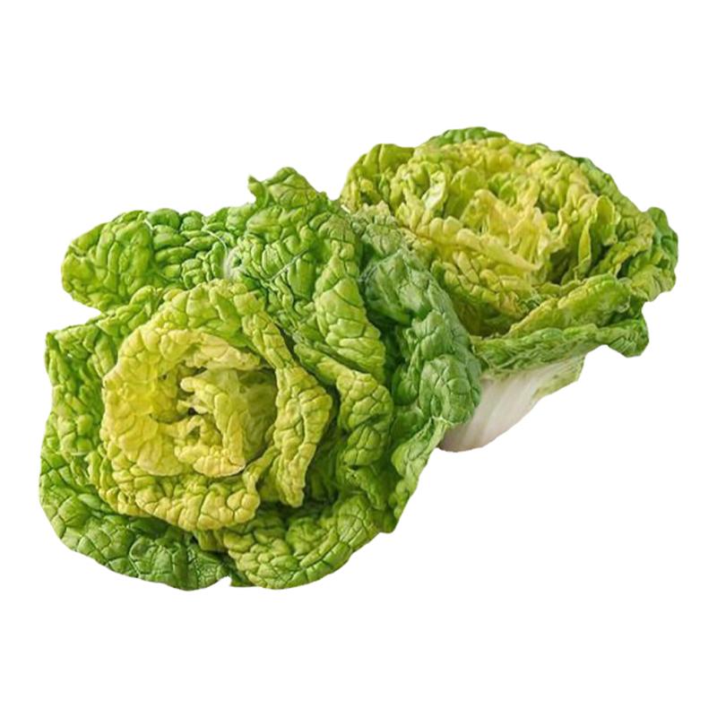 抗病乌塌菜秧苗四季蔬菜种苗