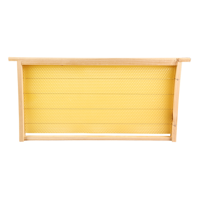 成品巢础框蜂具养蜂中全套