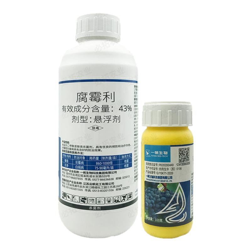 一帆43%腐霉利灰霉病白绢病农药