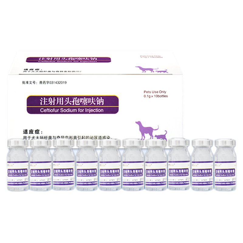 猫咪狗狗产前后消炎脓皮症皮肤