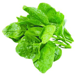 肥厚大叶木耳菜种子蔬菜种籽四季种孑夏季菜苗小青菜阳台盆栽菜种