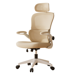 人体工学电脑椅舒适久坐护腰椅子家用升降靠背座椅学生学习专用椅