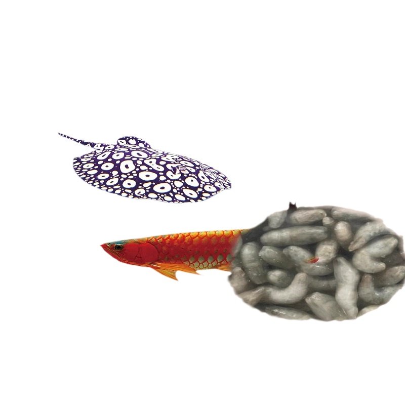 龙虎魟观赏鱼食龟粮河虾泥鳅虾段观赏鱼饲料