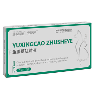 鱼腥草注射兽用犬猫清热解毒消肿/注意这不是利巴韦林注射剂兽用