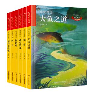 大鱼之道狼妻藏獒渡魂保姆蟒鸡王情豹布哈依 沈石溪 著 绘画漫画连环画卡通故事少儿新华书店正版图书 北京理工大学出版社